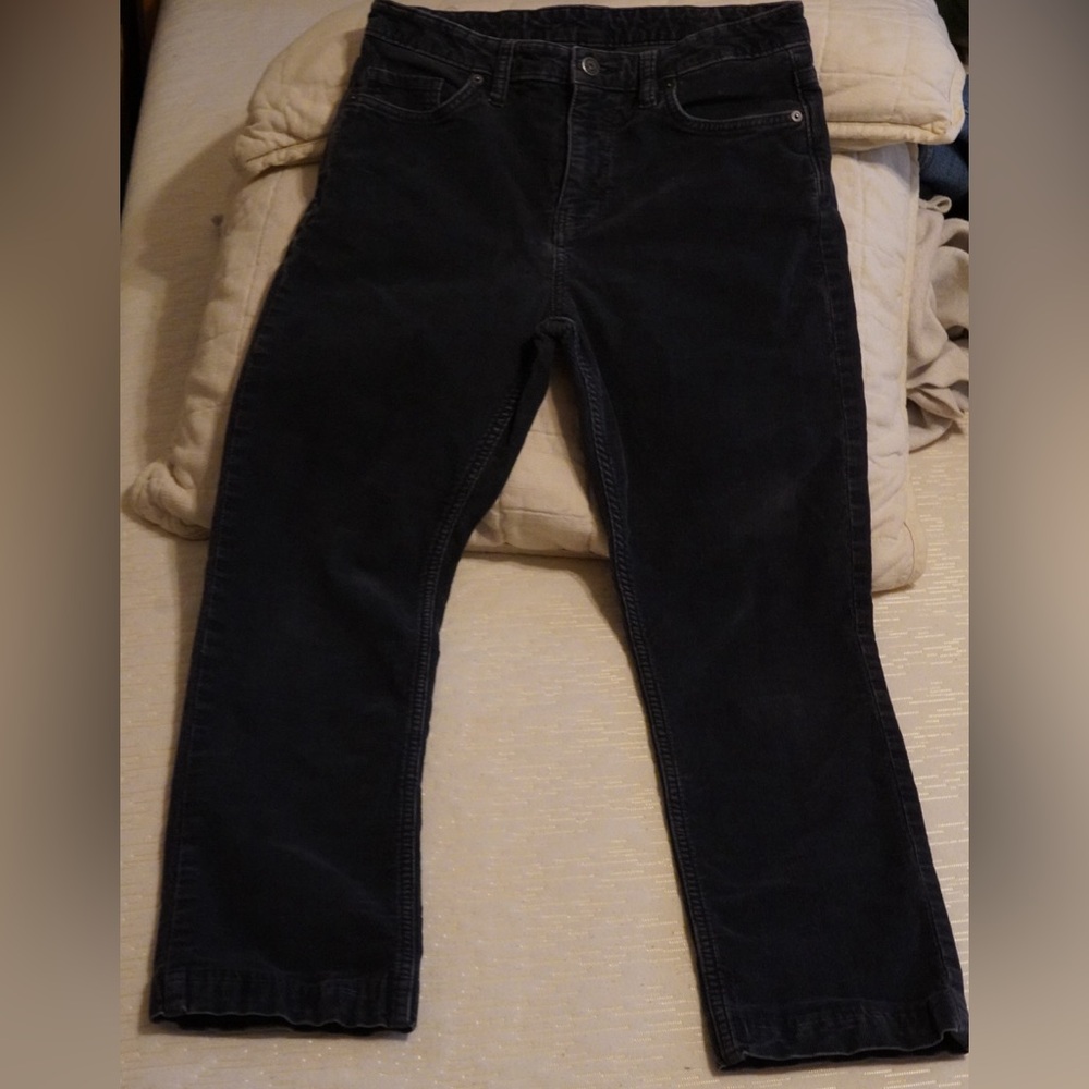 Patagonia Corduroy Pants, size 29